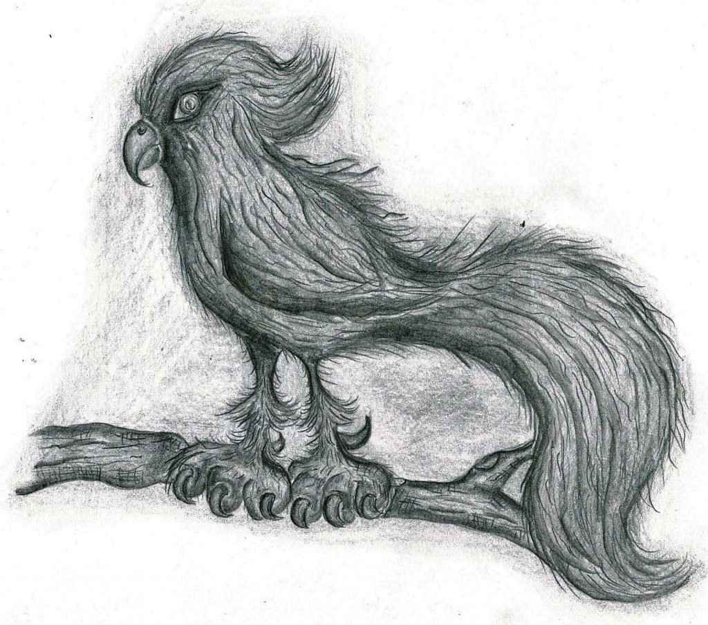 Paradiesvogel mit großem, fedrigem Schwanz