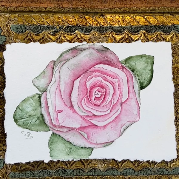 Aquarell Rose rosa