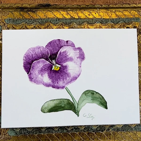 Aquarell eines Stiefmütterchen in lila