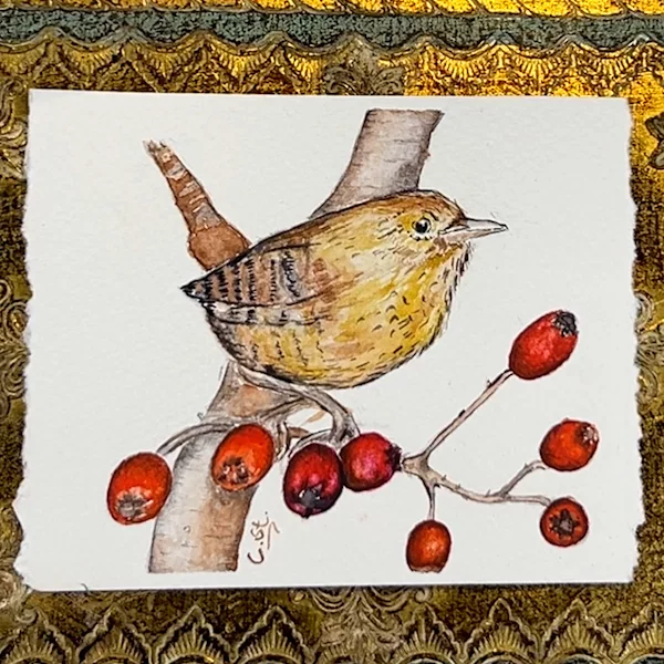 Aquarell eines kleinen Zaunkönigs mit Hagebutten