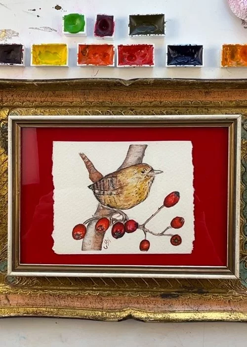 kleines Aquarell eines Zaunkönigs auf rotem Samt mit weiß goldenem Rahmen